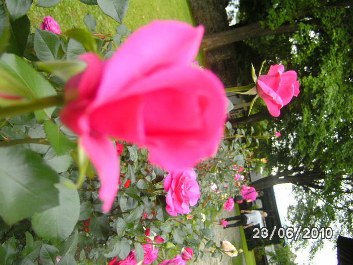 BILD0150
