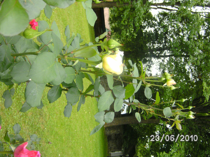 BILD0151