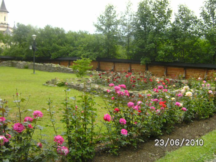 BILD0152
