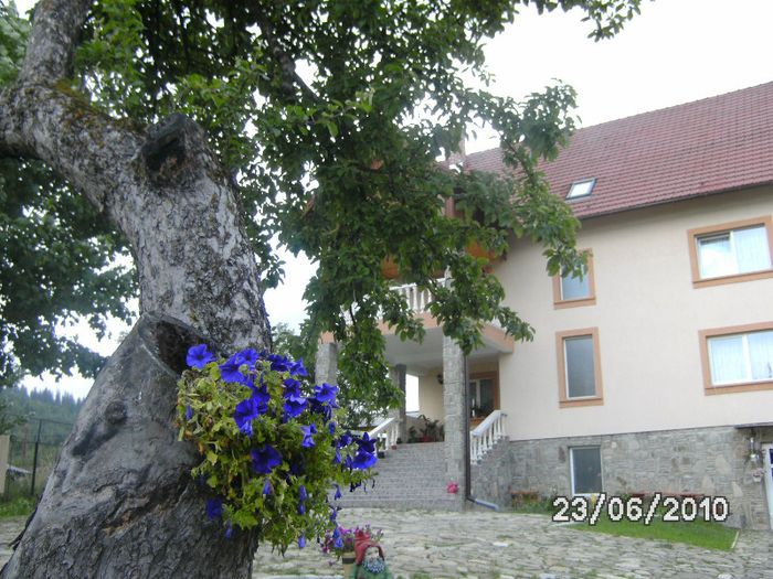 BILD0161
