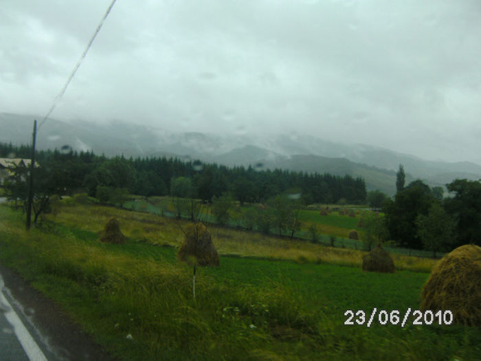 BILD0197