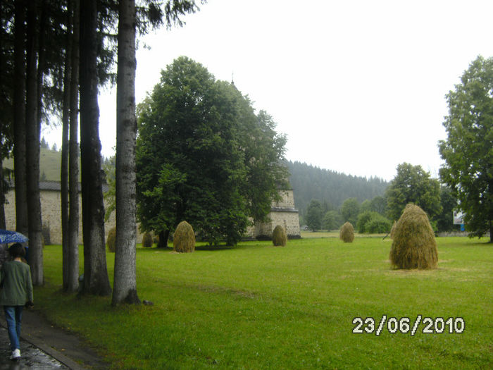 BILD0286