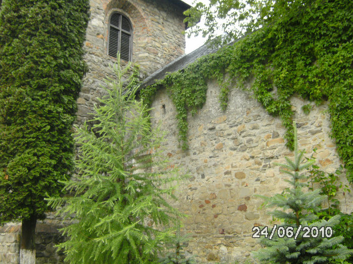 BILD6036