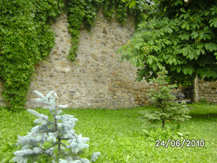 BILD6037