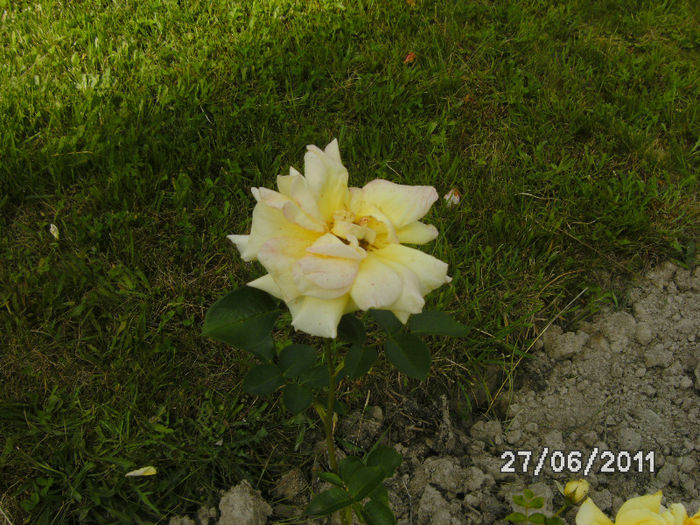 BILD6532 - nordul moldovei