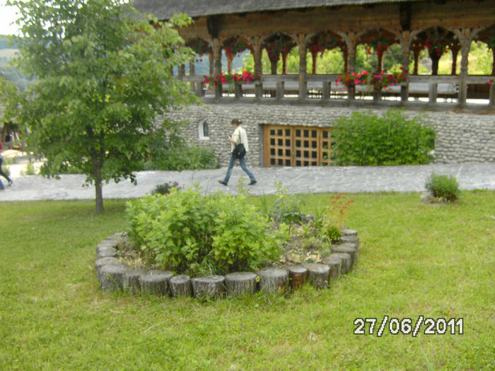BILD6534 - nordul moldovei