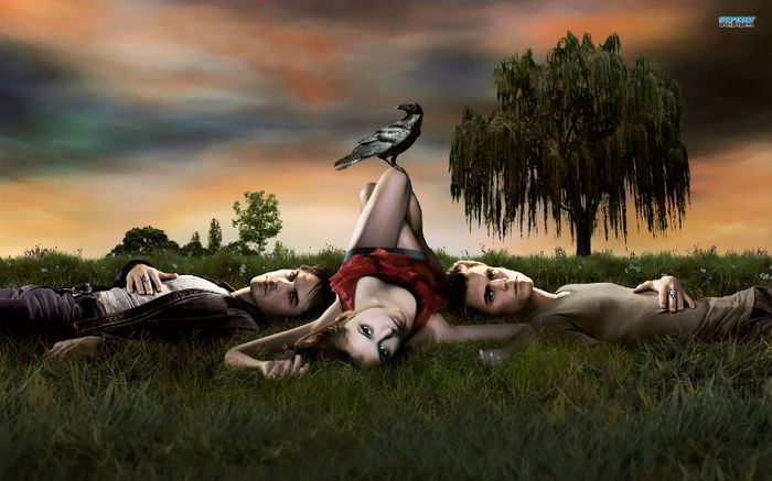 Jurnalele Vampirilor (4) - The Vampire Diaries