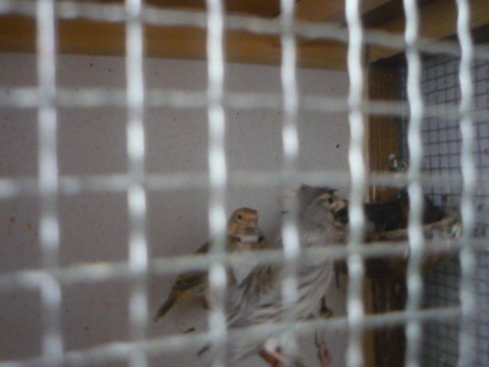 P1050467