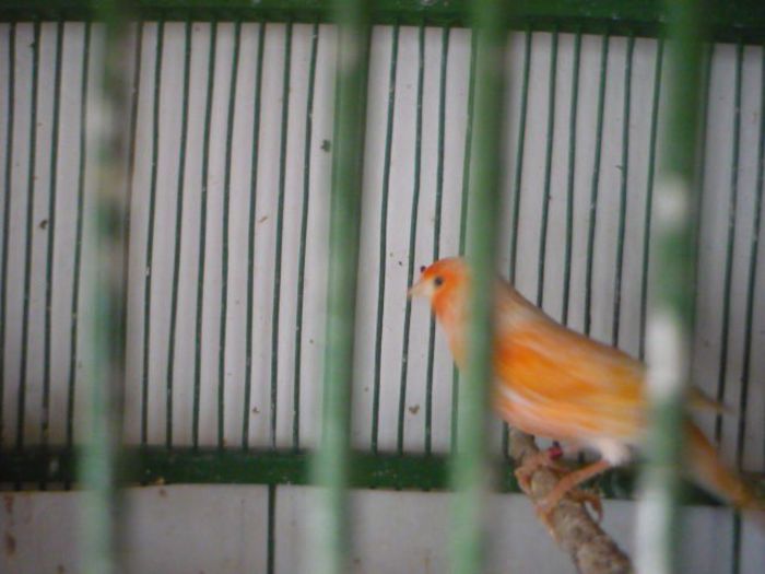P1050498