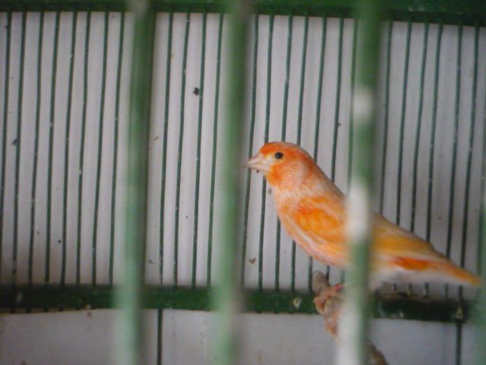 P1050500