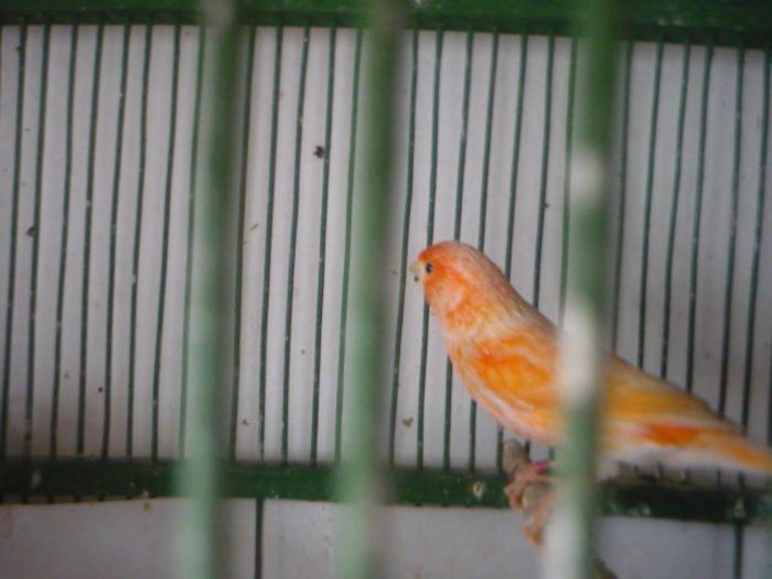 P1050502