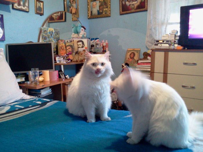 2012-12-19 12.50.40 - Sunny si Funny