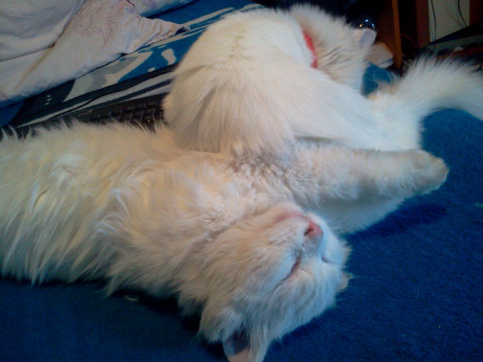 2012-12-19 15.40.48 - Sunny si Funny