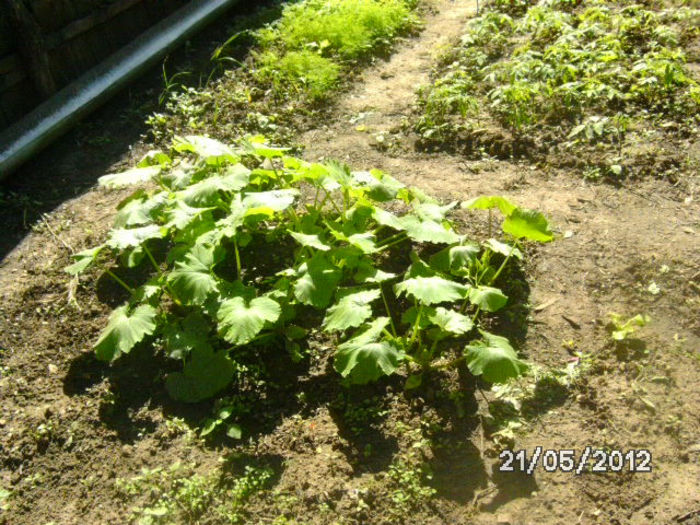 BILD9644