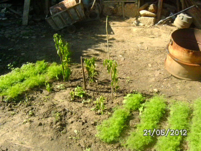 BILD9646