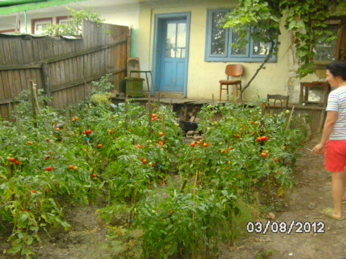 BILD0537