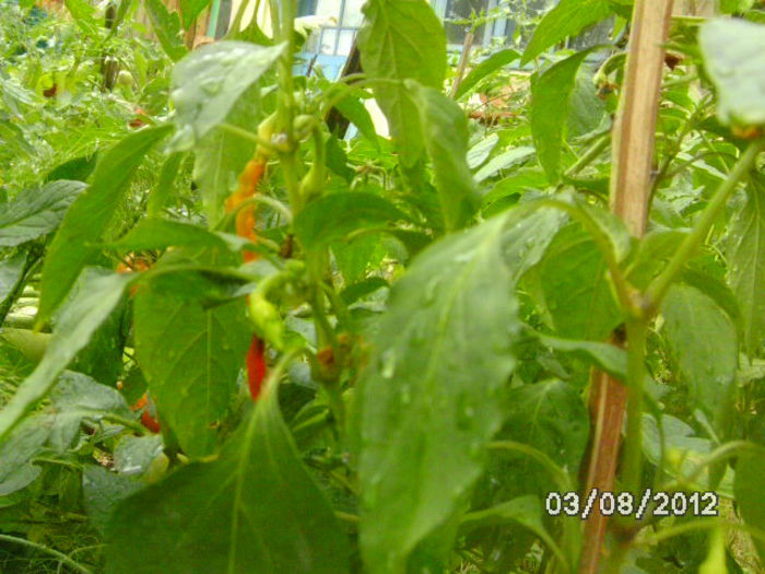 BILD0554