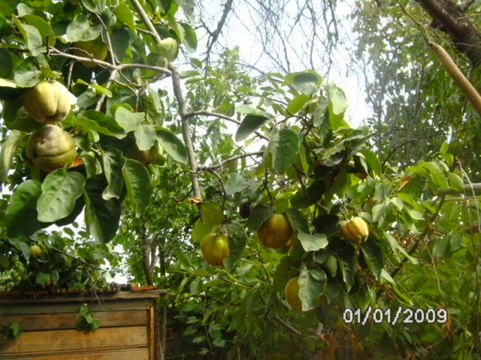 BILD0618