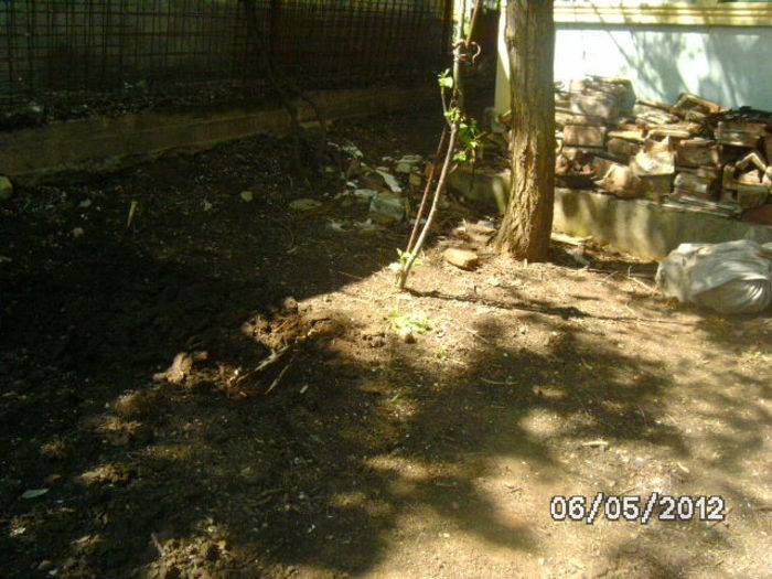 BILD0009