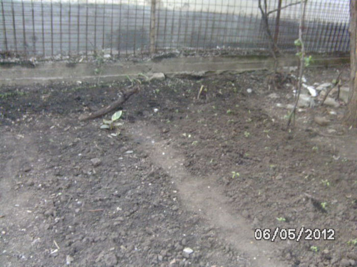 BILD0010