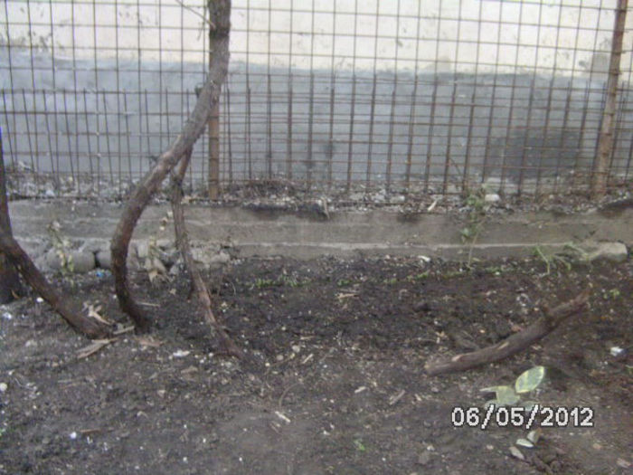 BILD0011