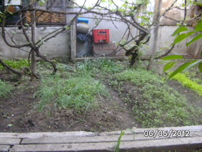 BILD0031