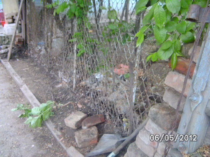 BILD0035