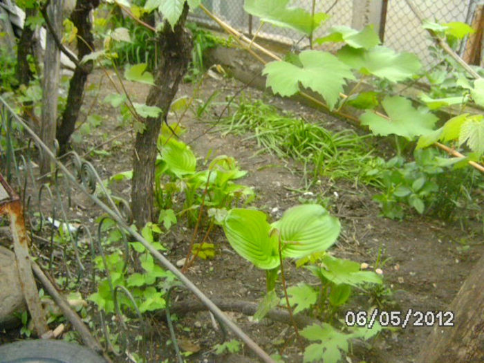 BILD0045