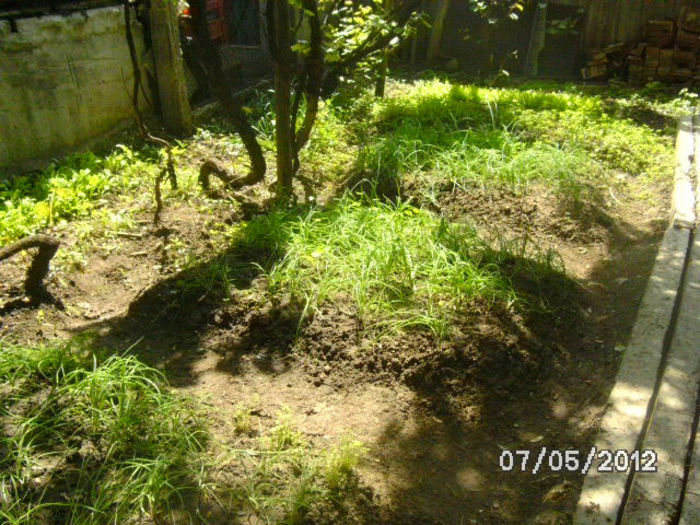 BILD0051