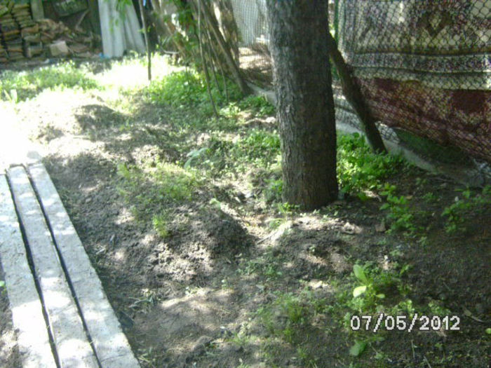 BILD0052