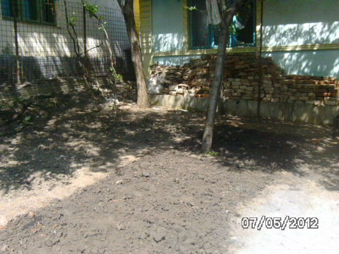 BILD0055