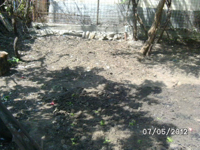 BILD0056
