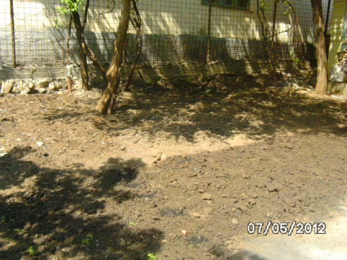 BILD0057