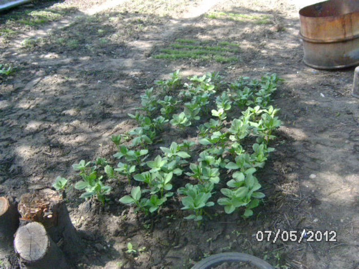 BILD0061