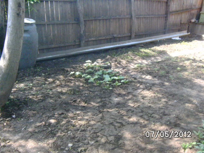 BILD0062