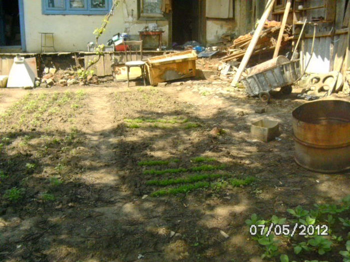 BILD0064