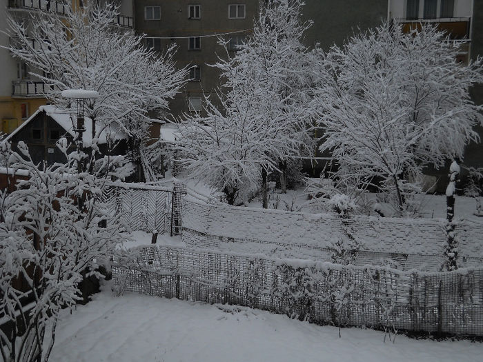 în buricul lu' martie 2013 (3)