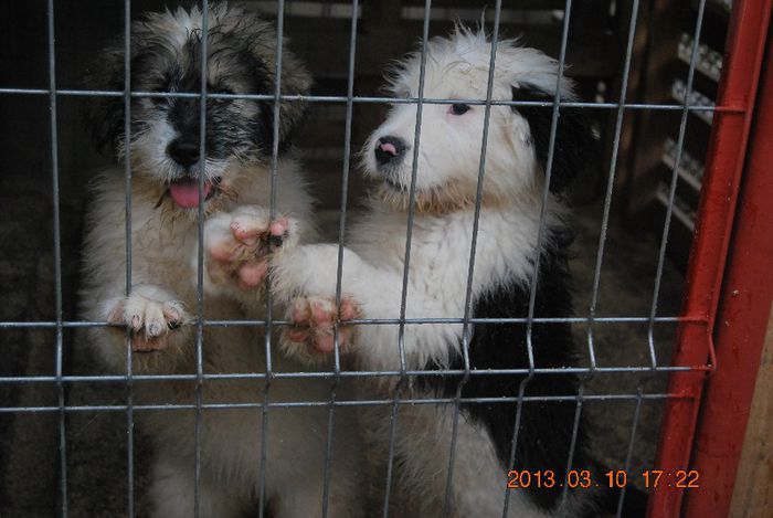 Adonia & Athos VANDUTI