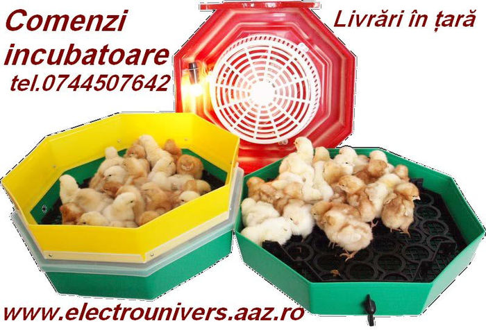 comenzi incubatoare www.electrounivers.com - incubatoare oua incubatoare pui