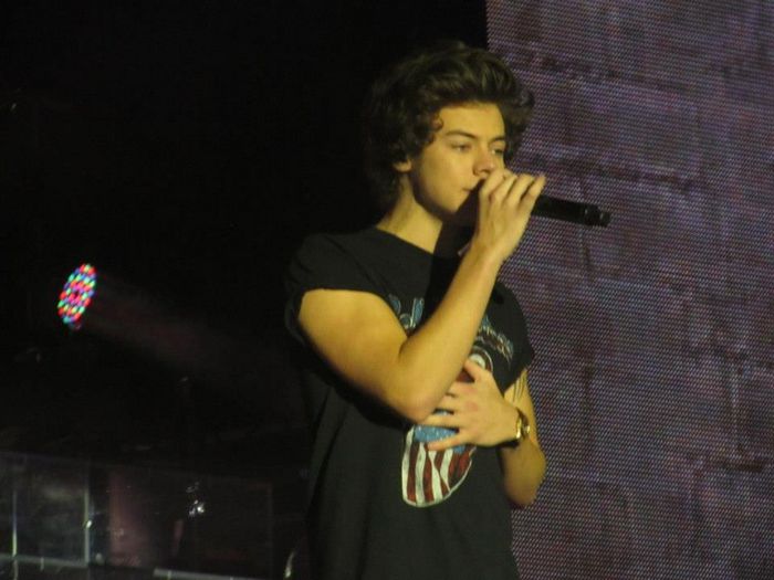 420345_444124645668072_136404254_n - x 100 Days With Harry Edward Styles x