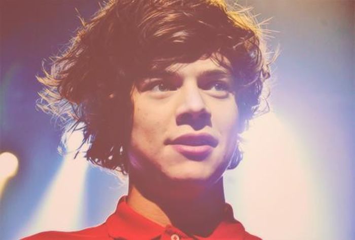 535017_413475548744852_1674058017_n - x 100 Days With Harry Edward Styles x