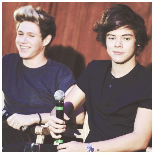 tumblr_mcm381681g1qei3cvo1_500 - x 100 Days With Harry Edward Styles x