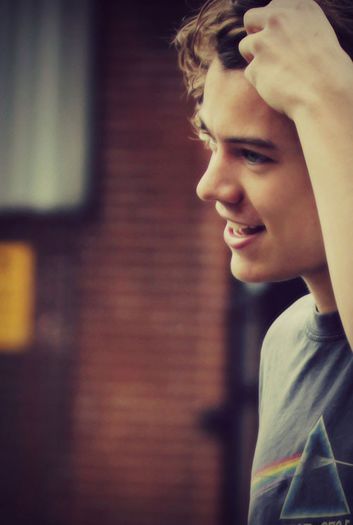 tumblr_mdnyok3hHl1rxepo5o1_500 - x 100 Days With Harry Edward Styles x