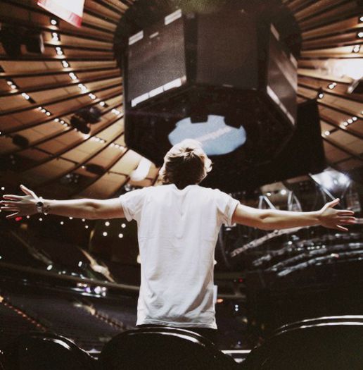 tumblr_meksd98Fw01qhsoxqo1_500 - x 100 Days With Harry Edward Styles x