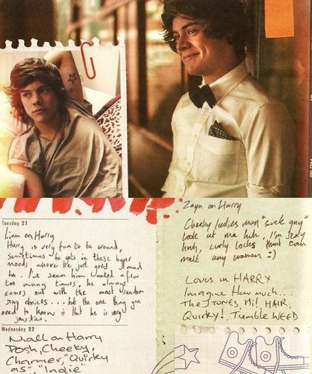 tumblr_mhdcmdD2Id1s1ddlyo1_500 - x 100 Days With Harry Edward Styles x