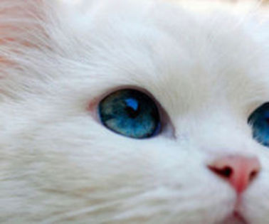 ln cele din urma cei doi ajung acasa la loana. - Z_Atractie irezistibila