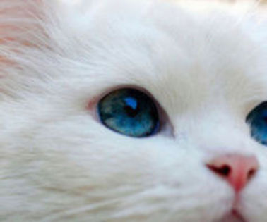 Billy pleaca si pe drum ii suna telefonul. - Z_Atractie irezistibila