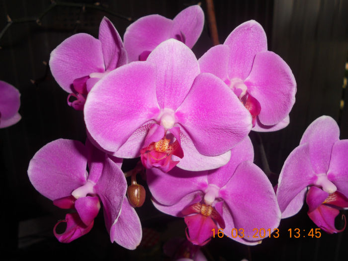 DSCN2802