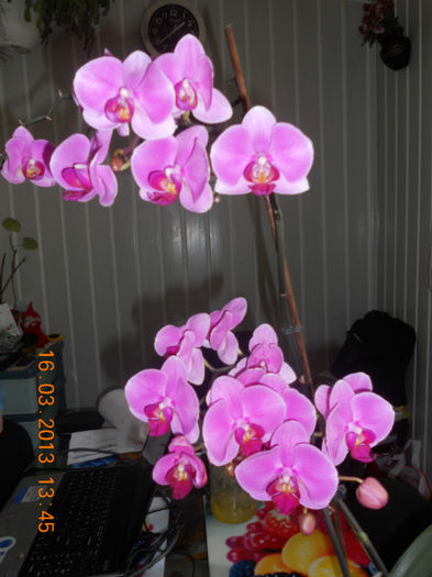 DSCN2803