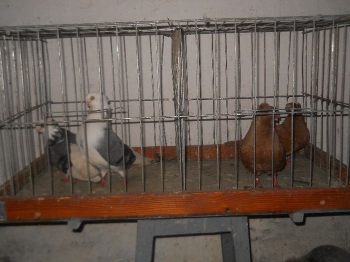 De vanzare, 100 RON perechea